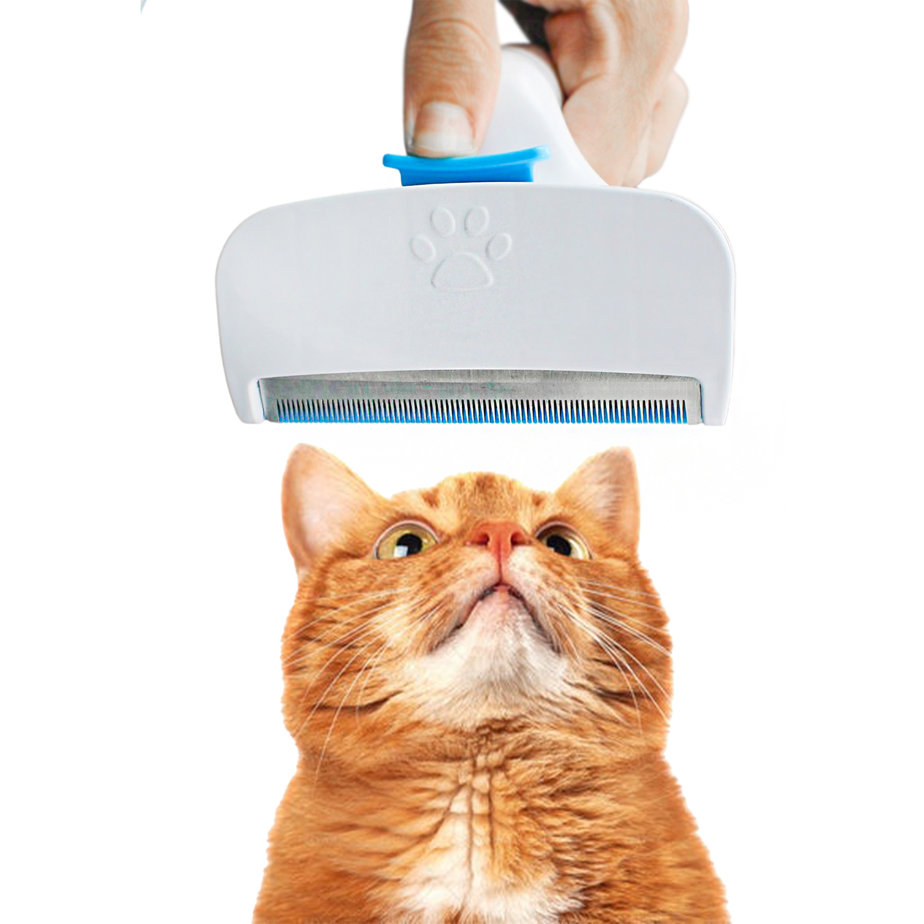 Rasqueadeira Removedor Tira Pelos Pet Ani...