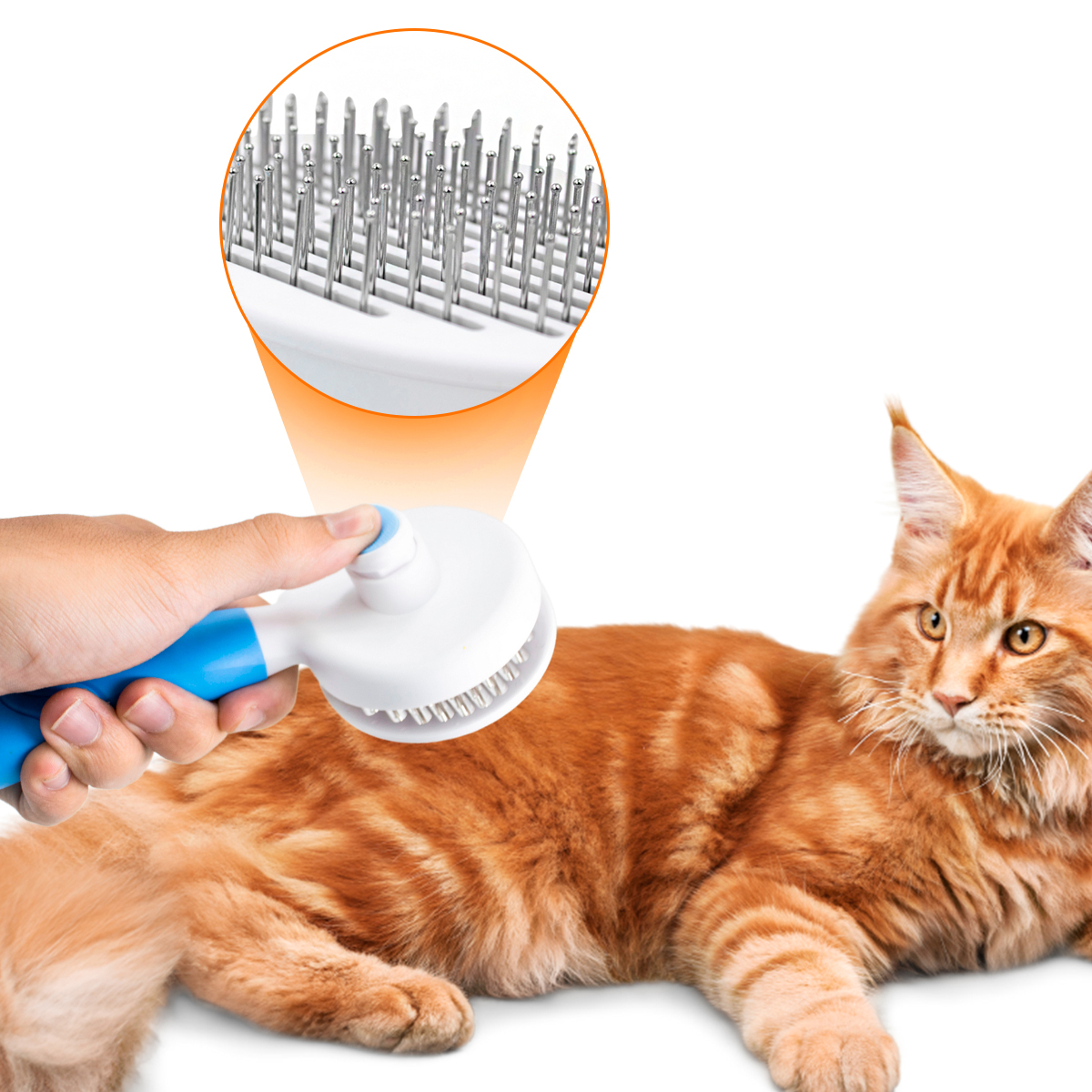 Rasqueadeira Removedor Tira Pelos Pet Ani...